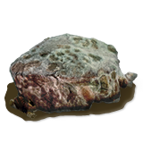 foodRottingFlesh